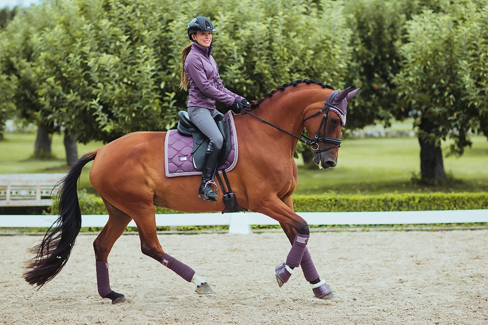 Riding Breeches Elite Grey