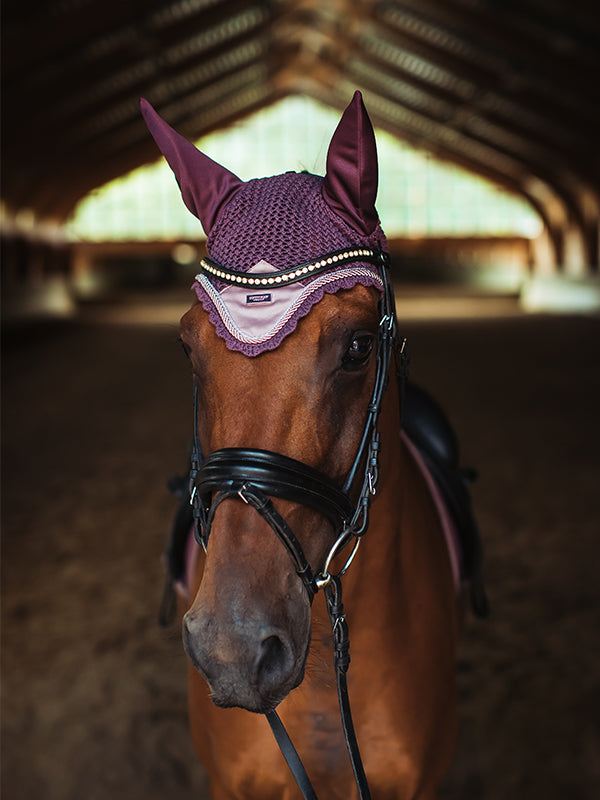 Ear Bonnet Orchid Bloom