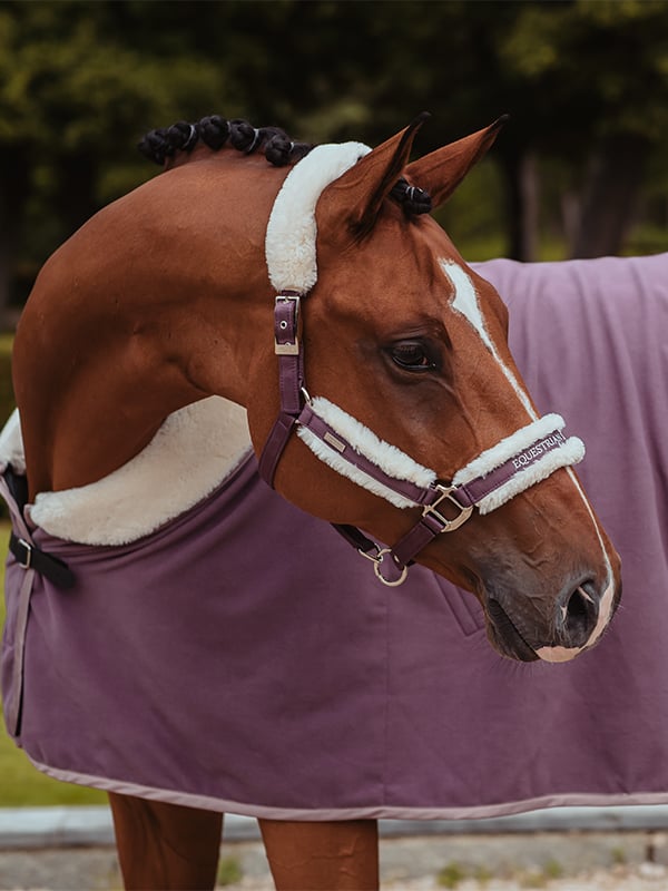Fur Halter & Lead Rope Orchid Bloom