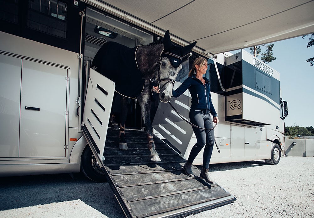 Fliegenhaube Schwarz Silber