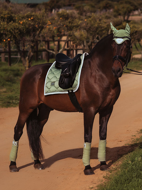 Polo Wraps Pistachio White