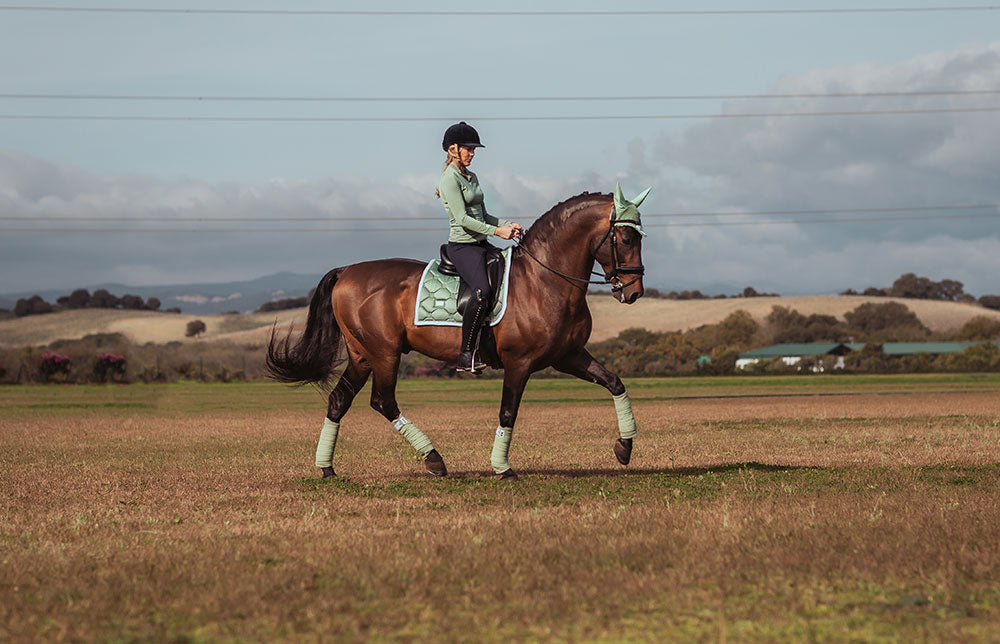 Polo Wraps Pistachio White