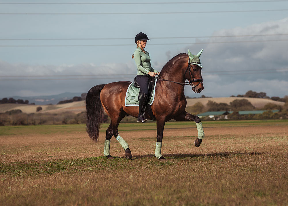 Polo Wraps Pistachio White