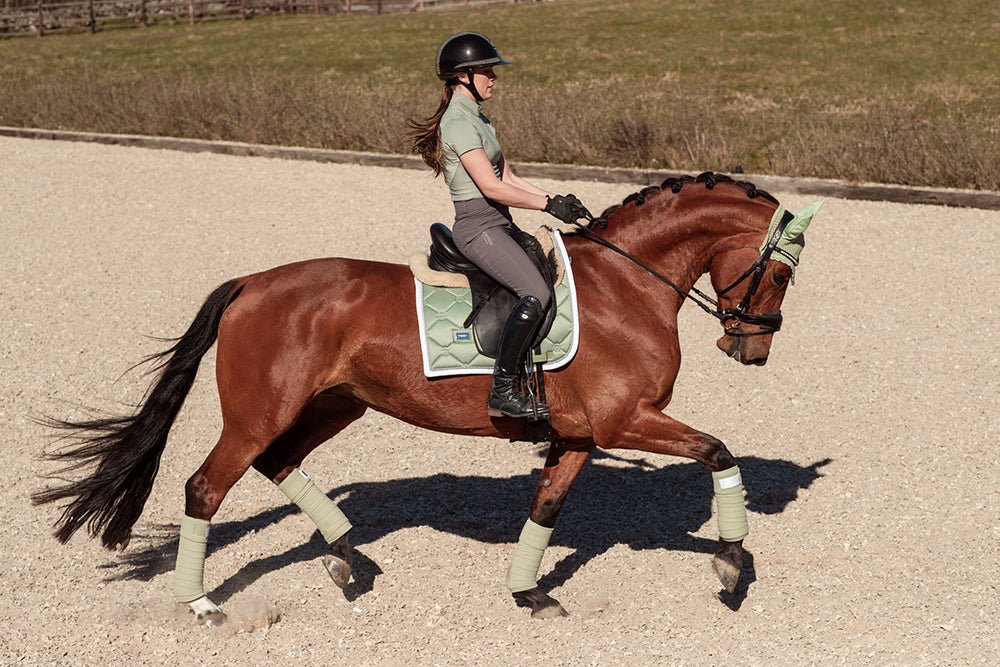 Sportive Top Pistachio White