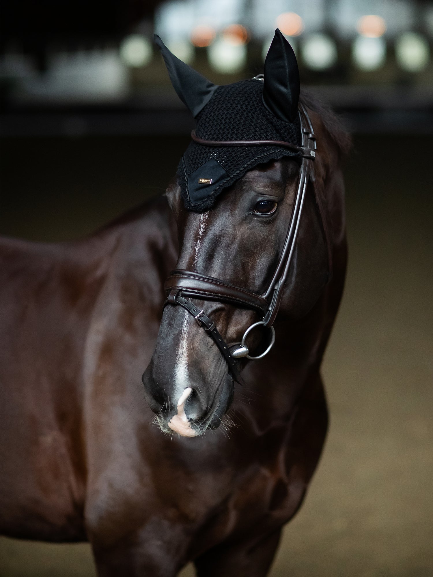 Ear Bonnet Plain Black Gold