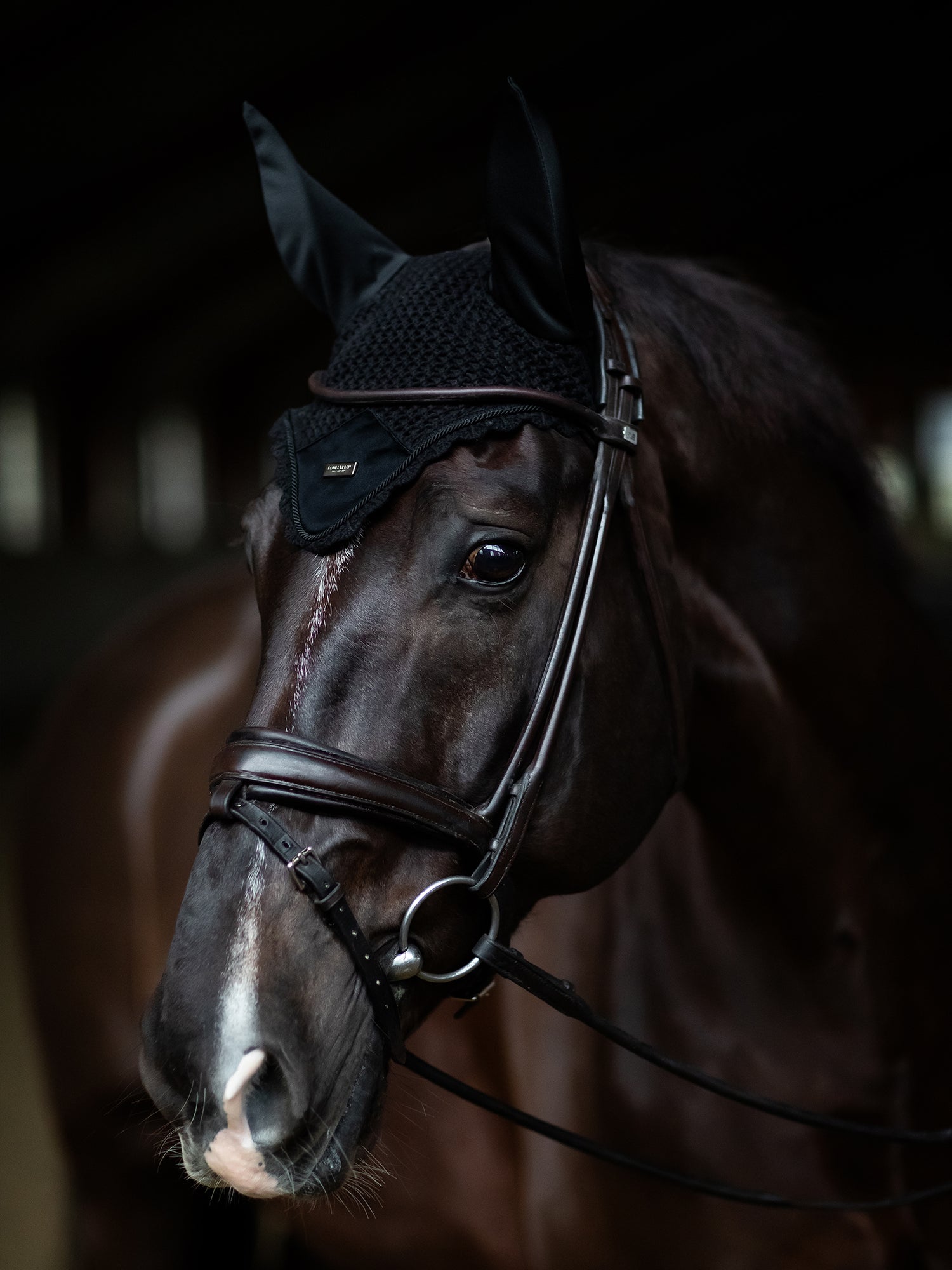 Ear Bonnet Plain Black Silver
