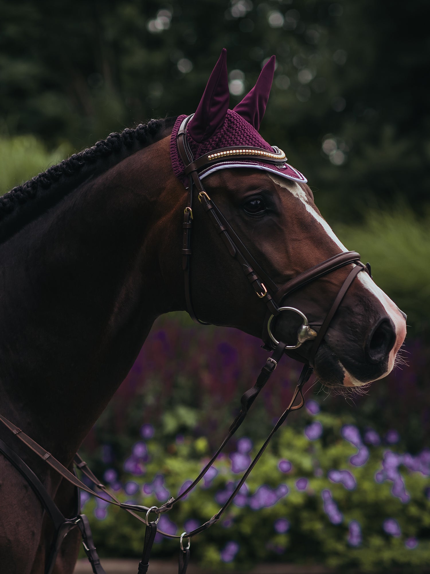 Ear Bonnet Purple White Edge