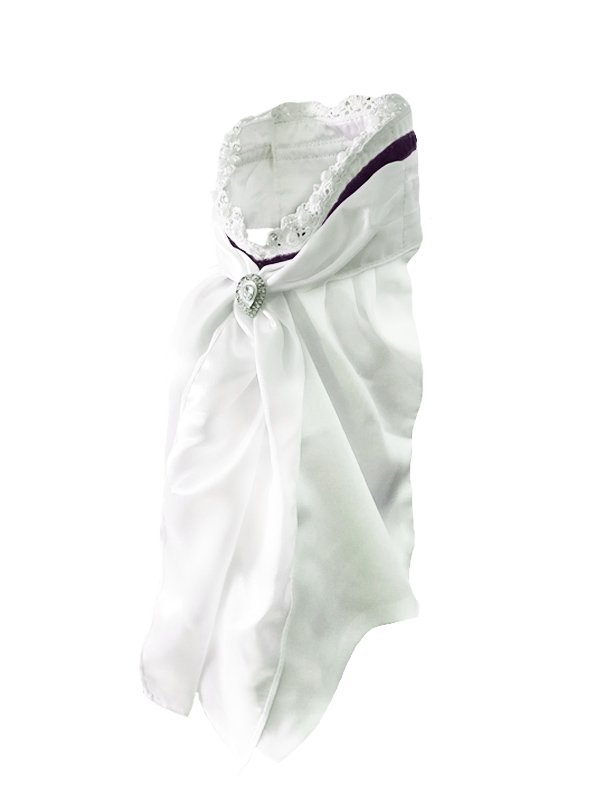 Riding Stock Orchid Bloom