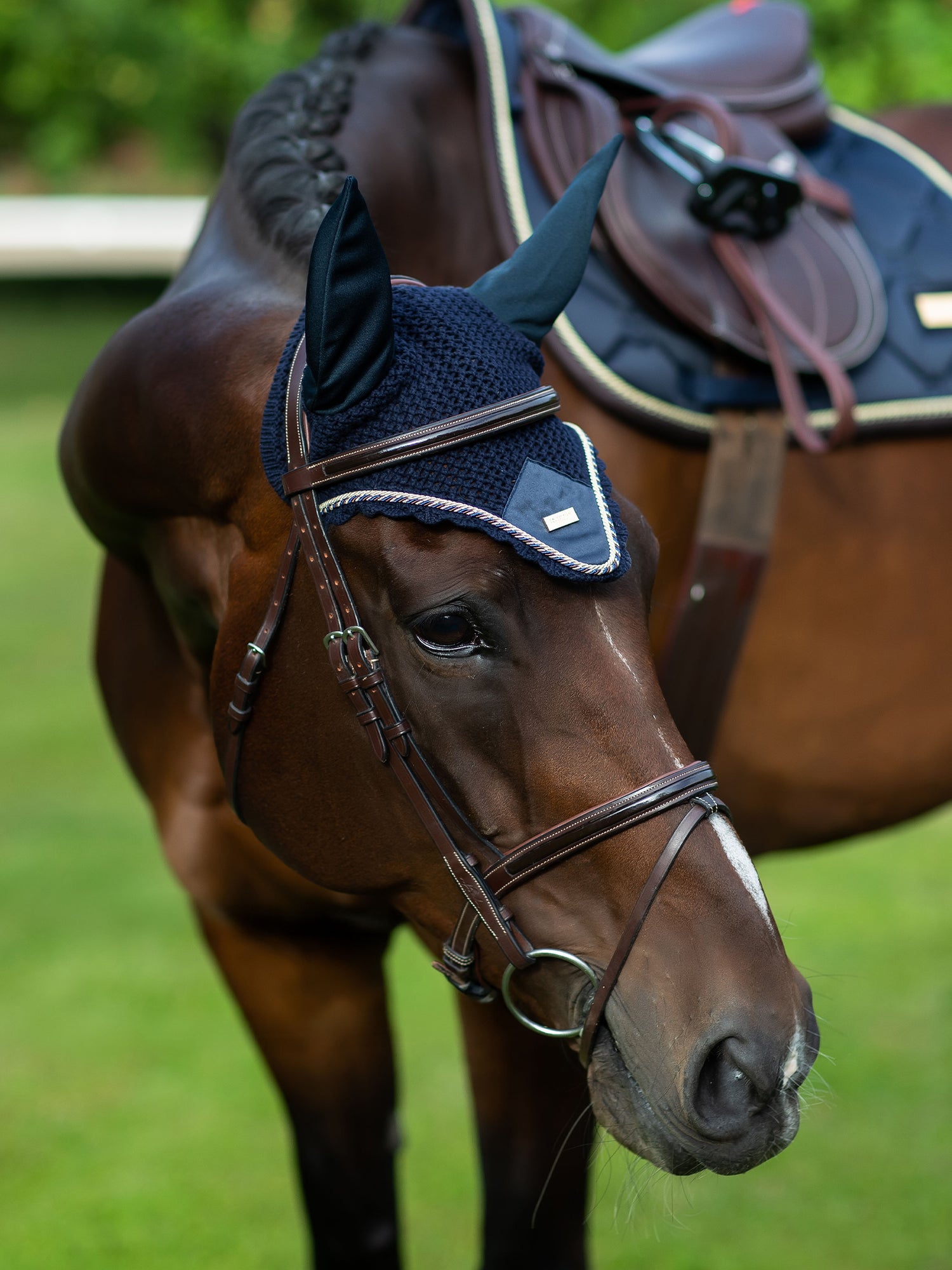 Fliegenhaube Royal Classic