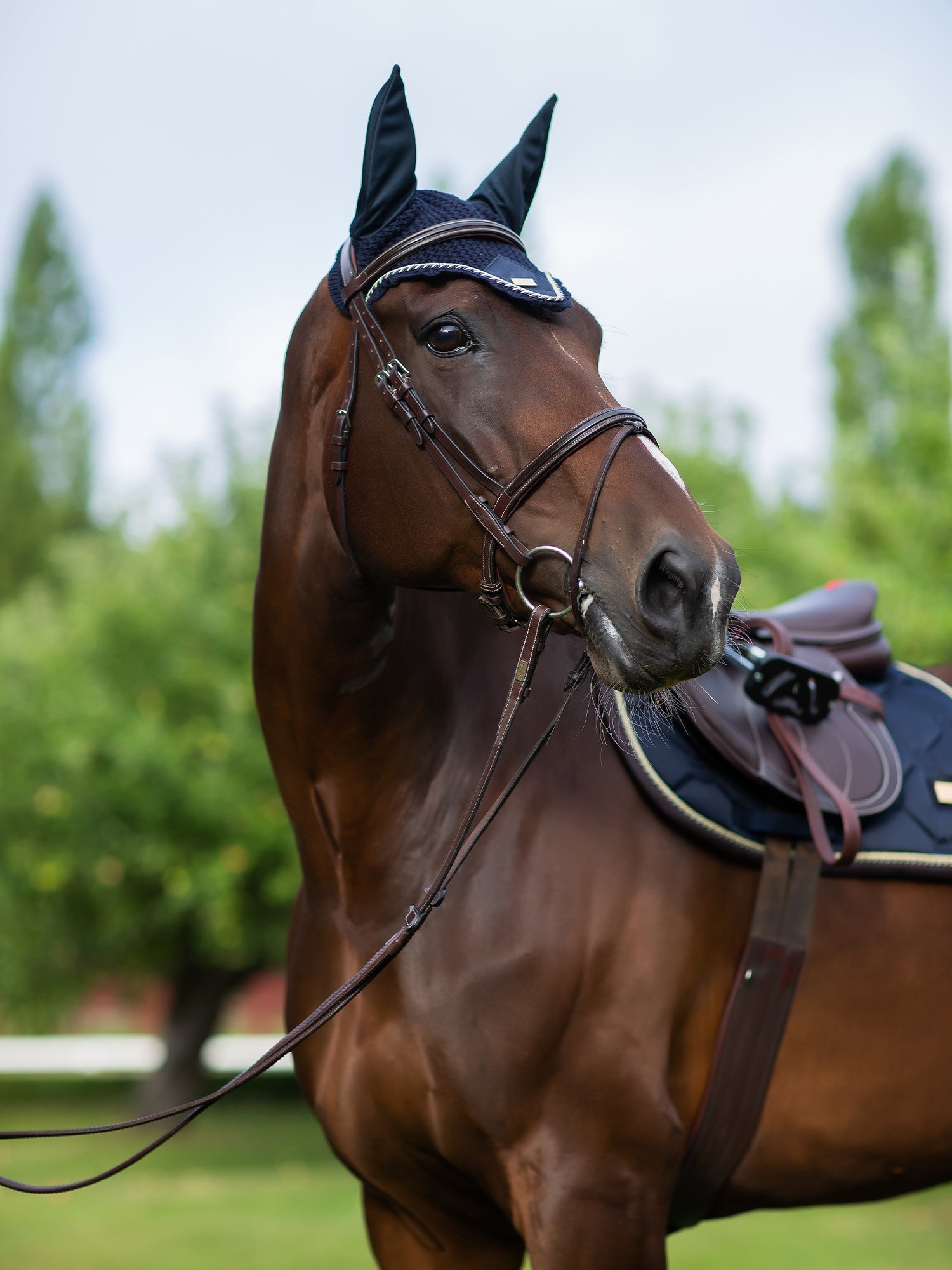 Fliegenhaube Royal Classic