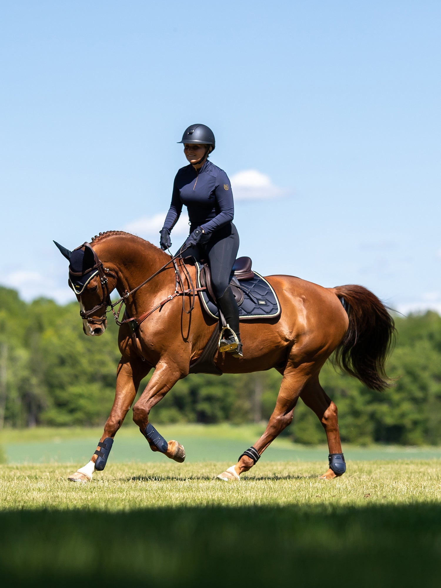 Hoppschabrak Royal Classic