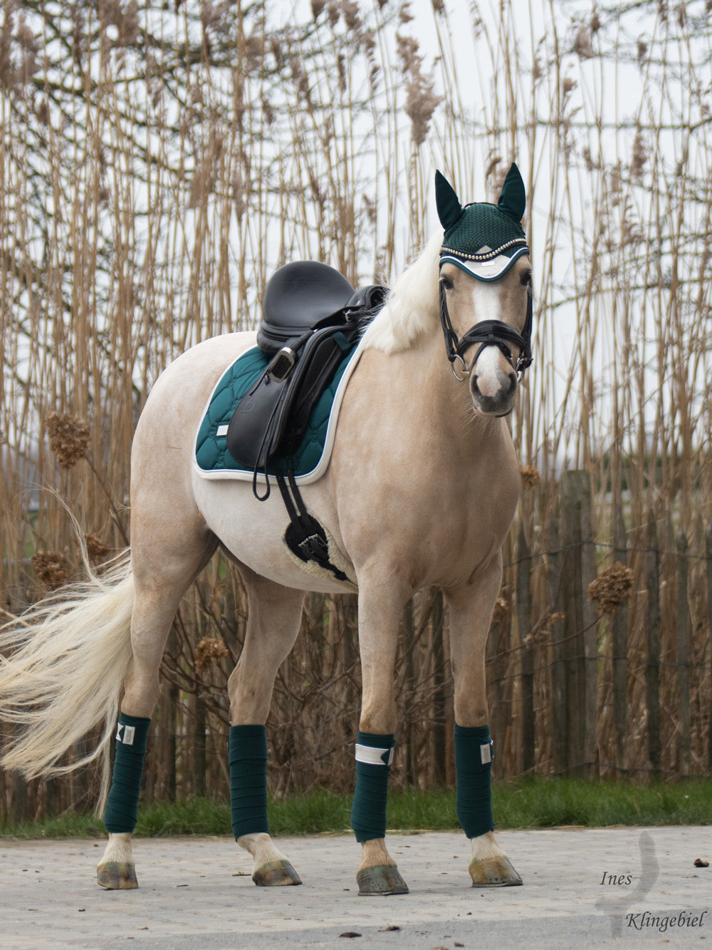 Polo Wraps Emerald Amazonite