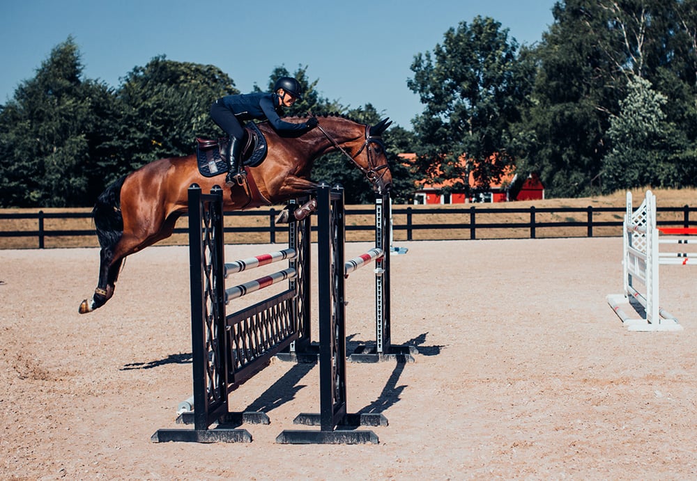 Spring Zadeldekje Leather Deluxe Silver