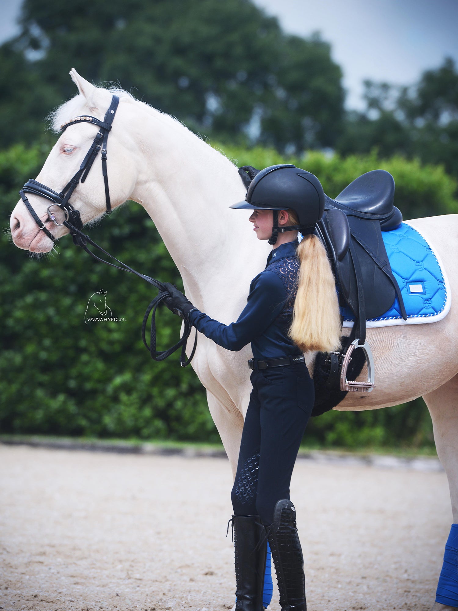 Dressage Saddle Pad Sapphire