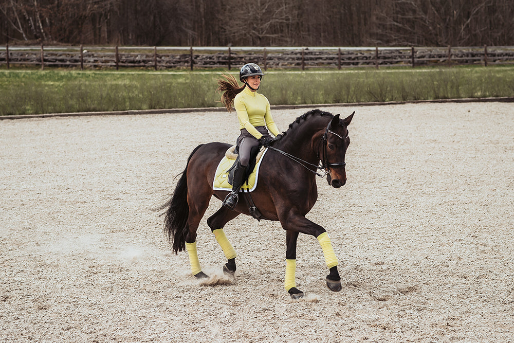 Dressyrschabrak Soft Lemon