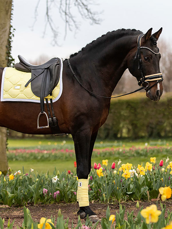 Dressage Saddle Pad Soft Lemon