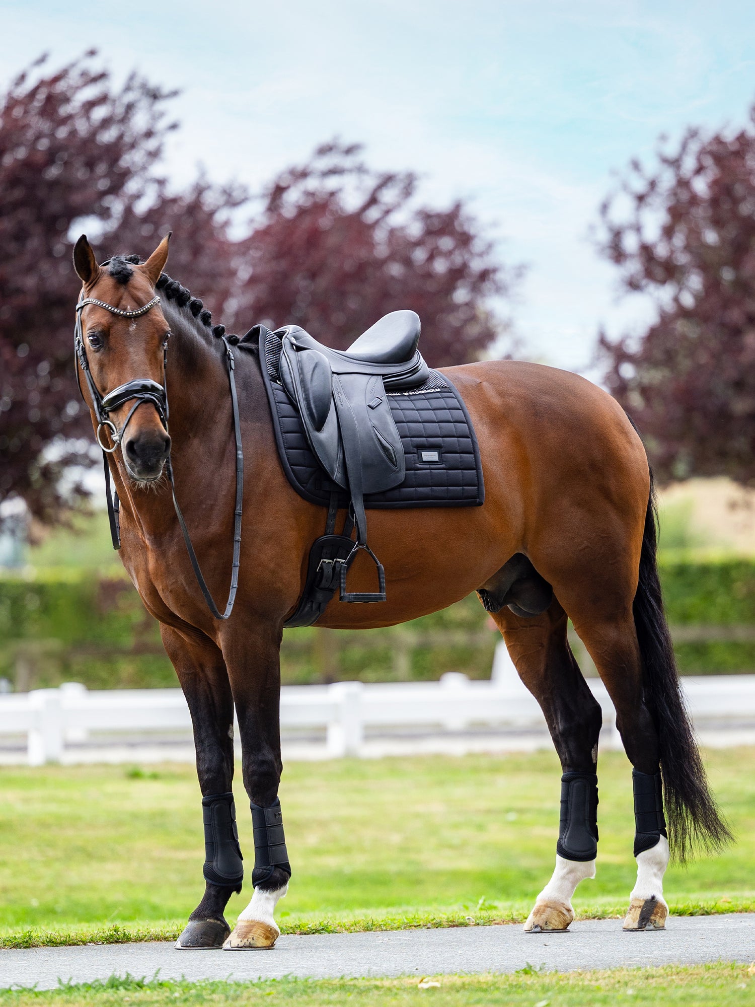Dressage Saddle Pad Performance Black