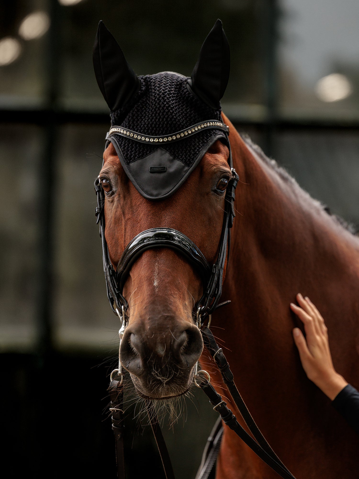 Ear Bonnet Performance Black