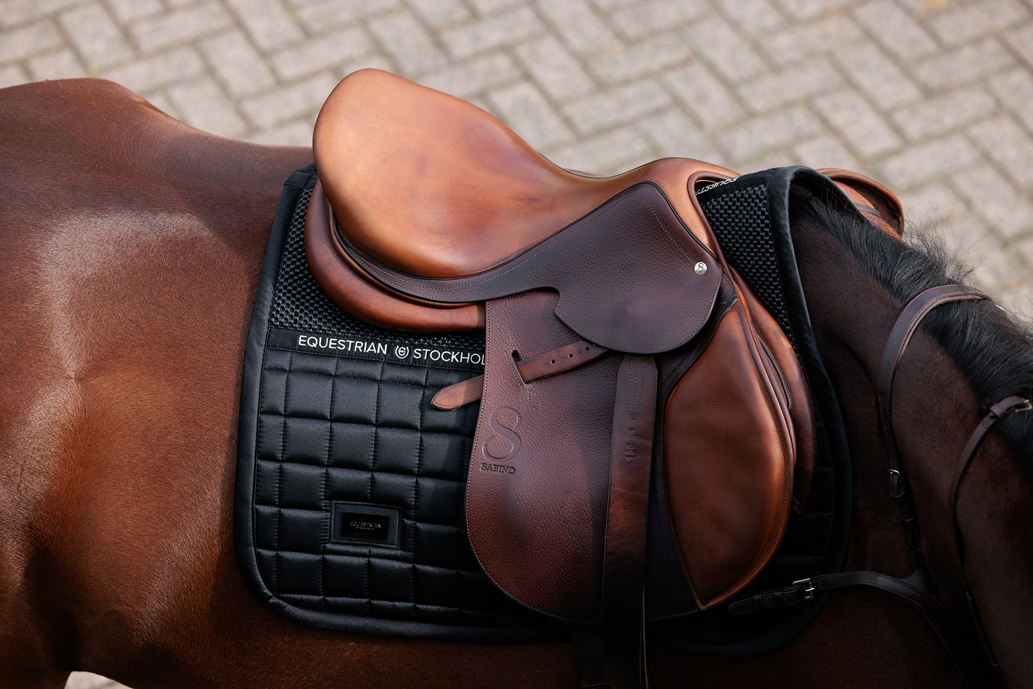 Hoppschabrak Performance Black