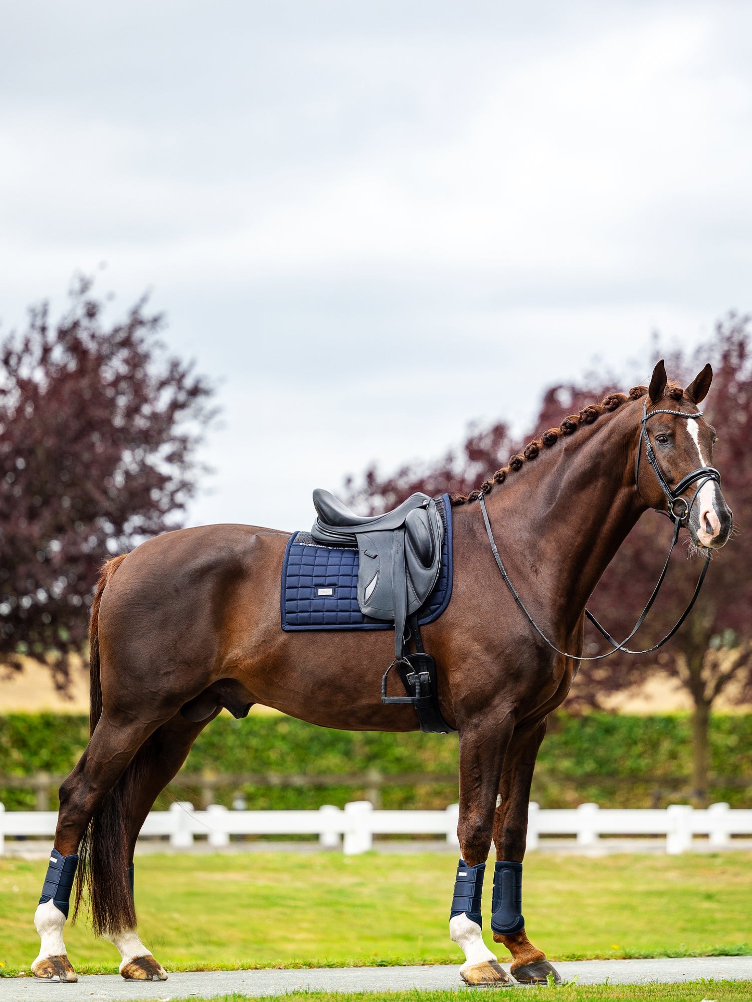 Dressage Saddle Pad Performance Navy