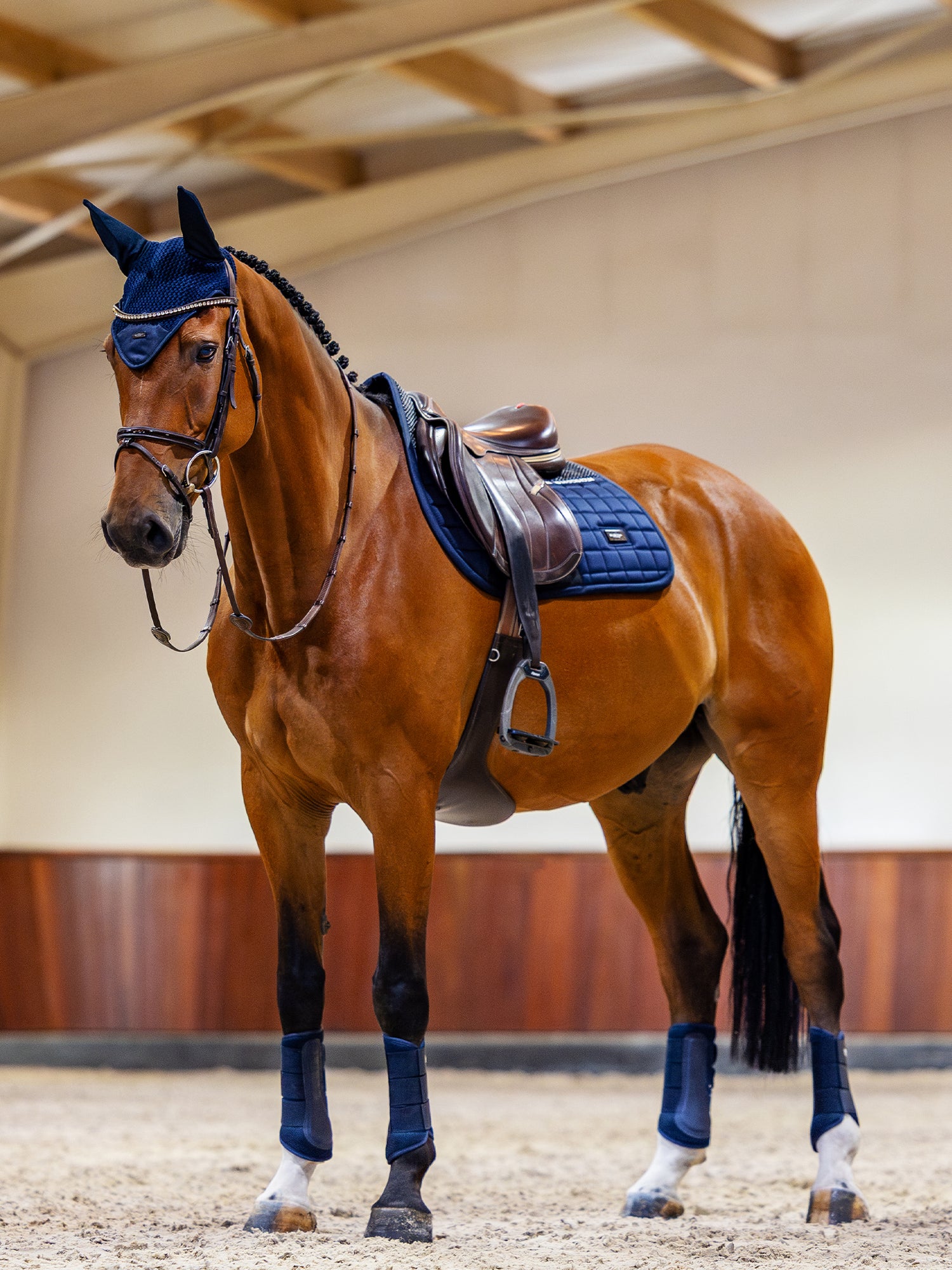 Spring Zadeldekje Performance Navy