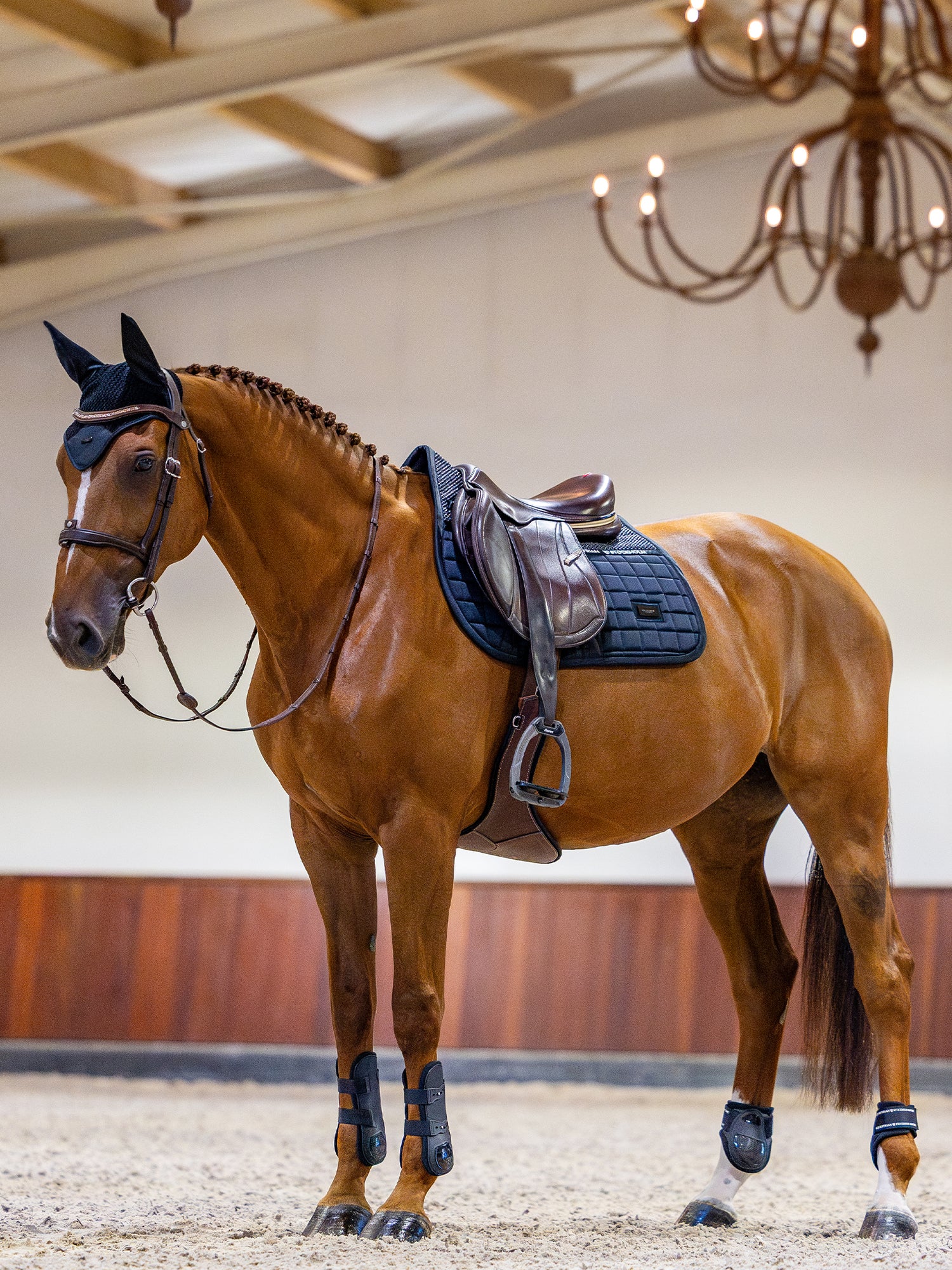 Spring Zadeldekje Performance Navy