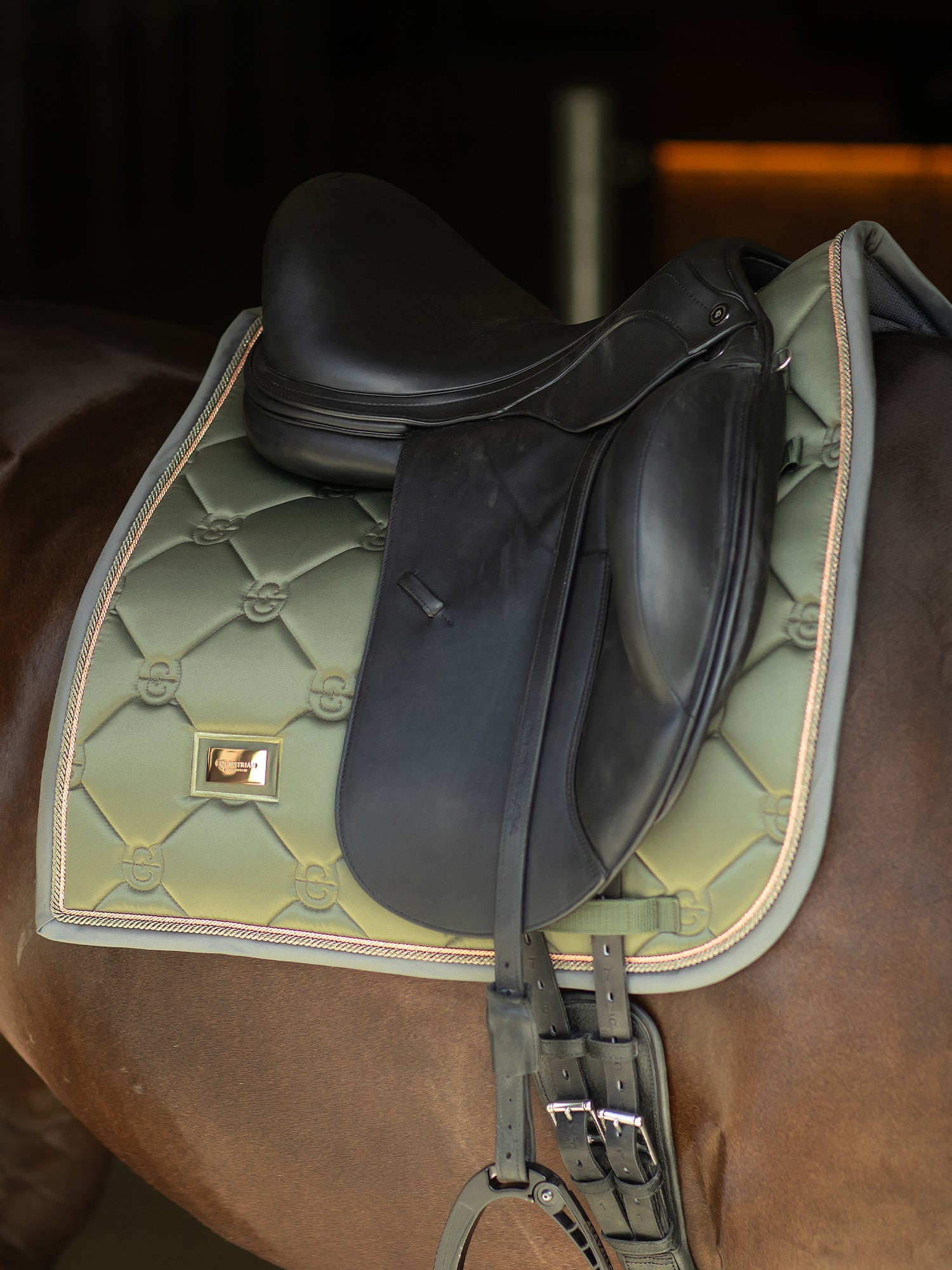 Dressage Saddle Pad Striking Valley