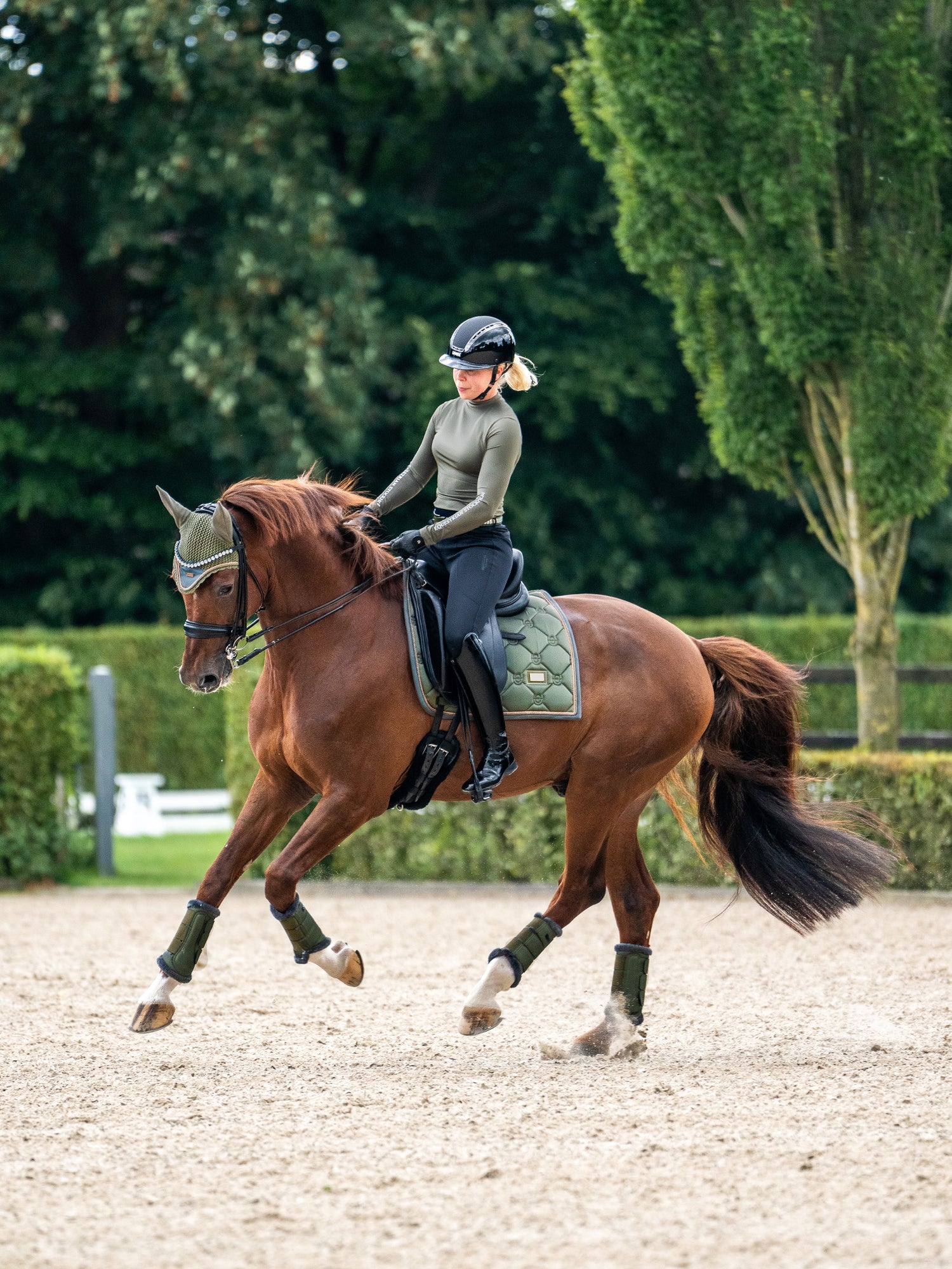 Dressage Saddle Pad Striking Valley