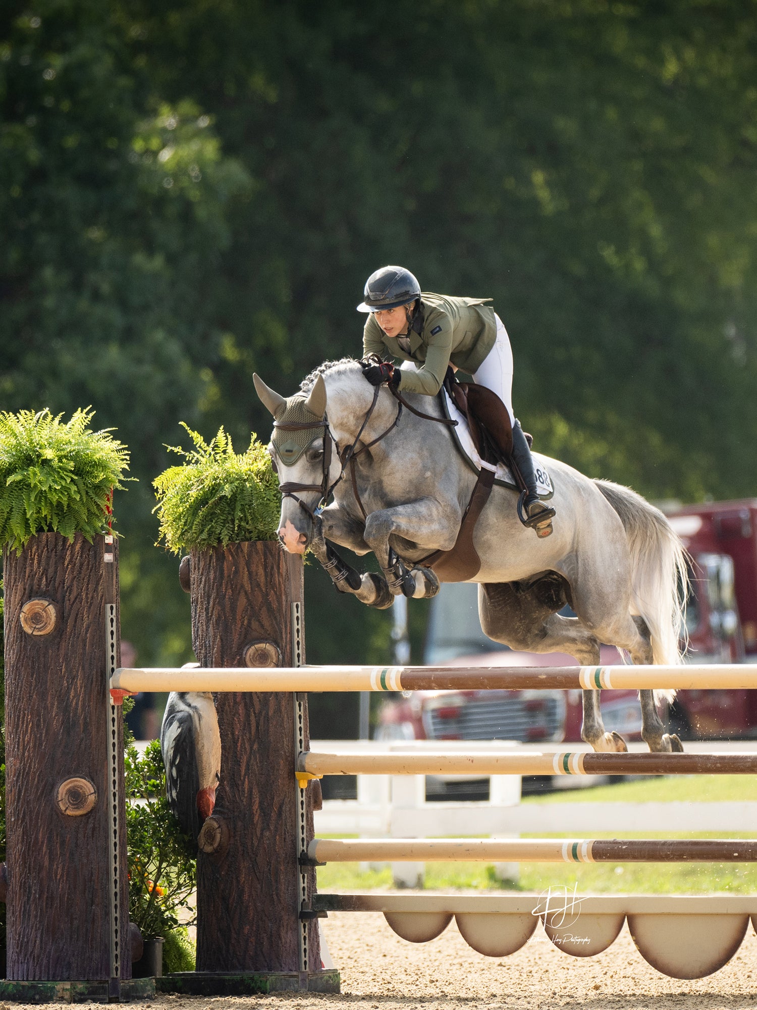 Padded Fliegenhaube Modern Striking Valley