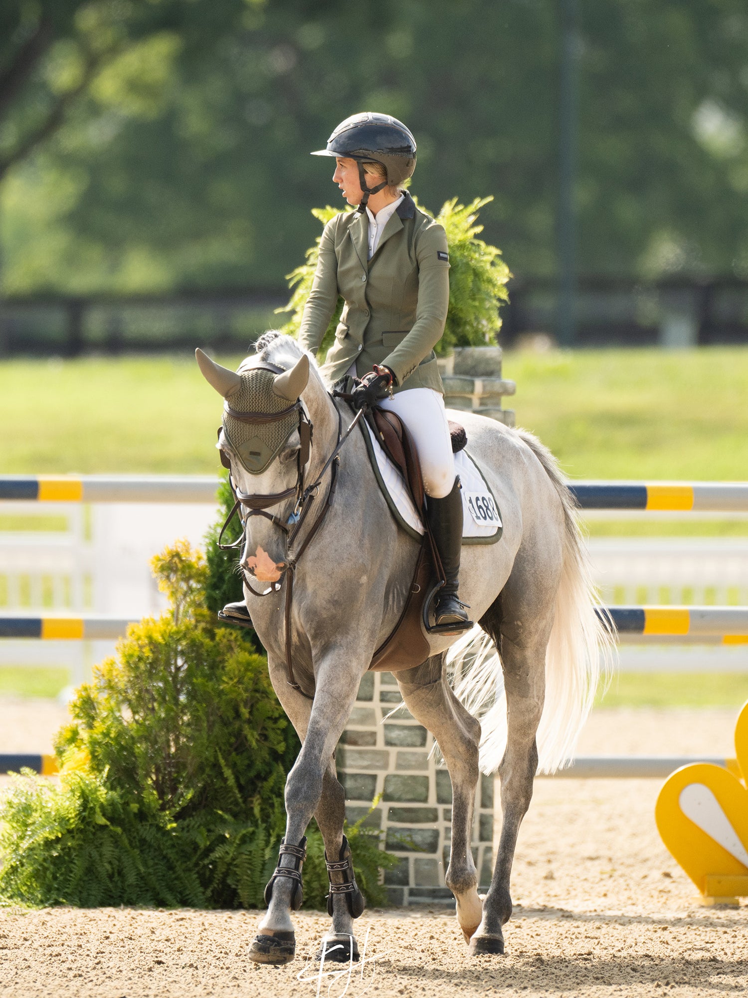 Padded Fliegenhaube Modern Striking Valley