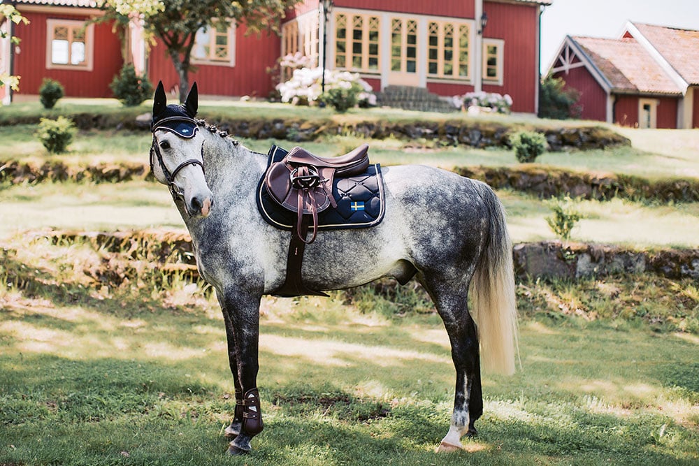 Jump Saddle Pad Sweden Nation Navy