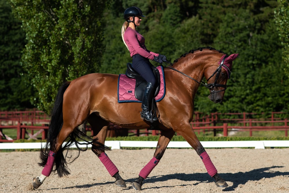 Rundhalsad Stickad Topp Timeless Rose