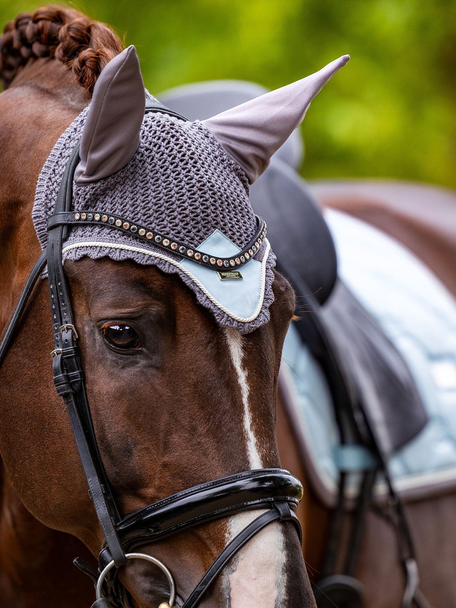 Bridle Guide