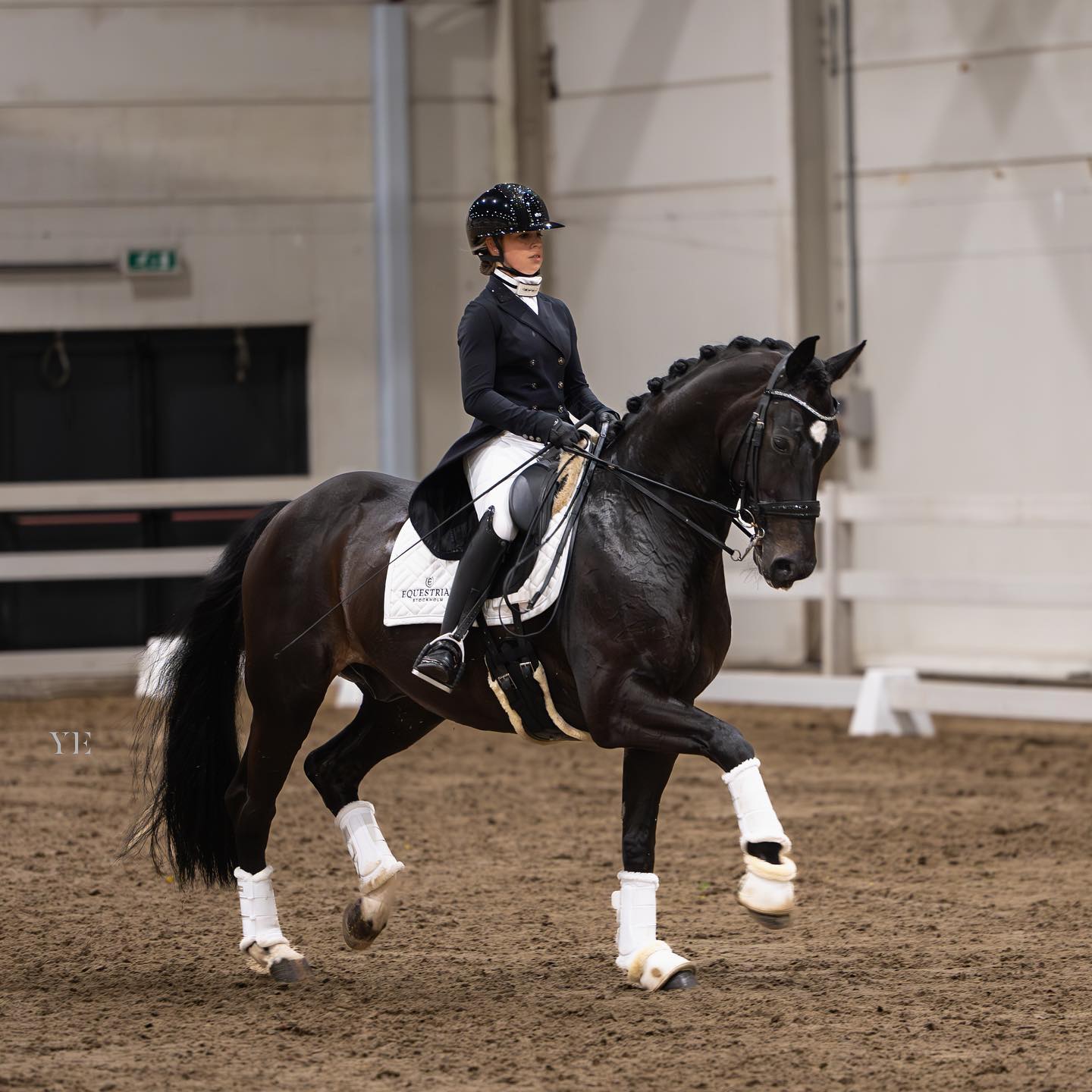 Suraya Hendrikx – Equestrian Stockholm