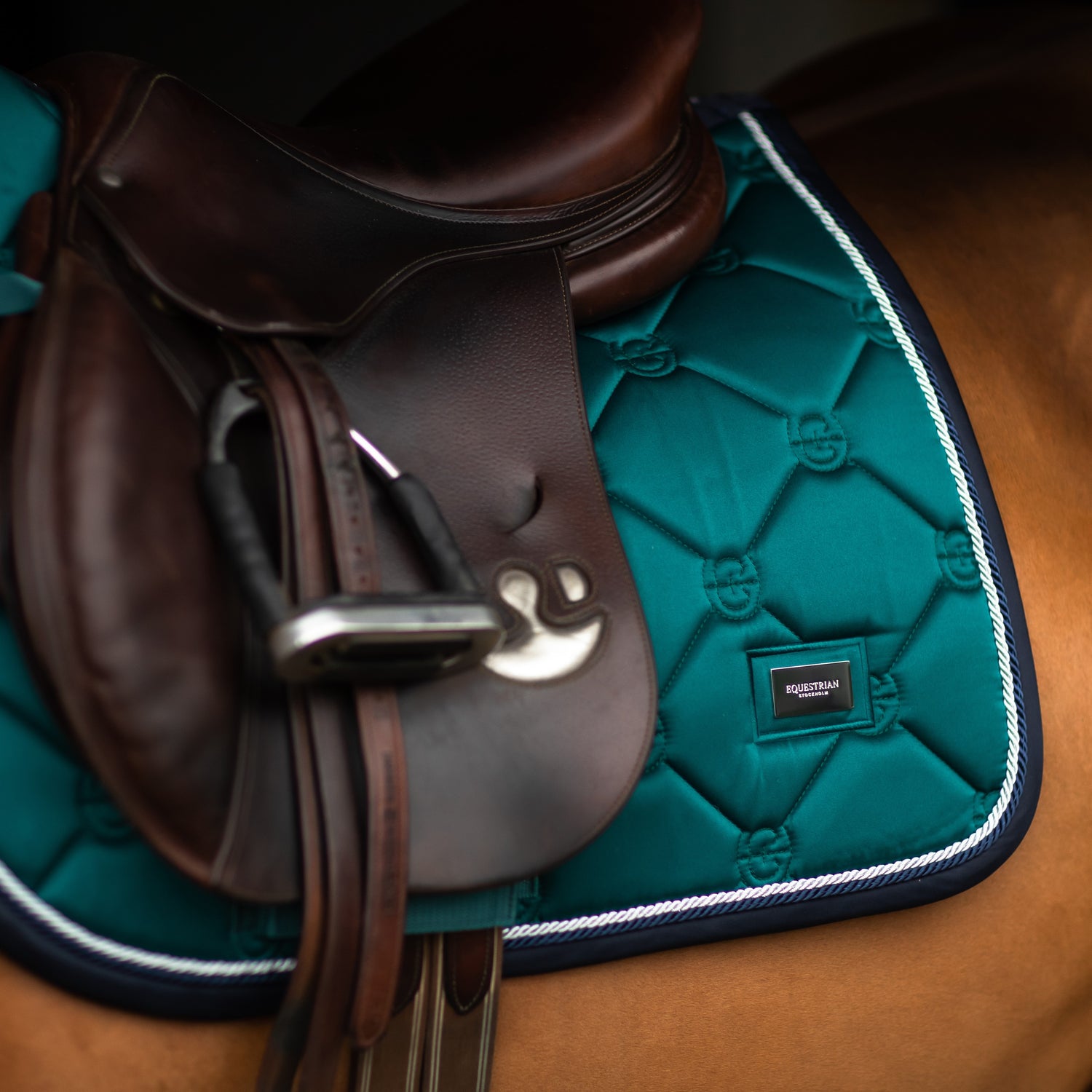 Which Saddle Pad is the Best?