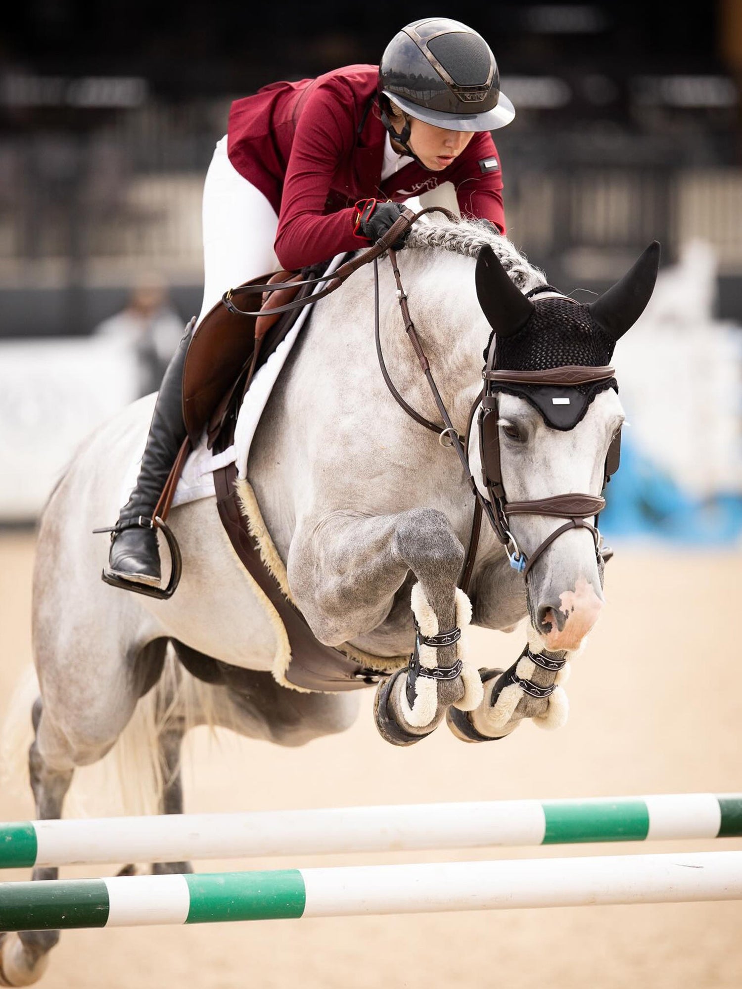 Show Jumping Distances