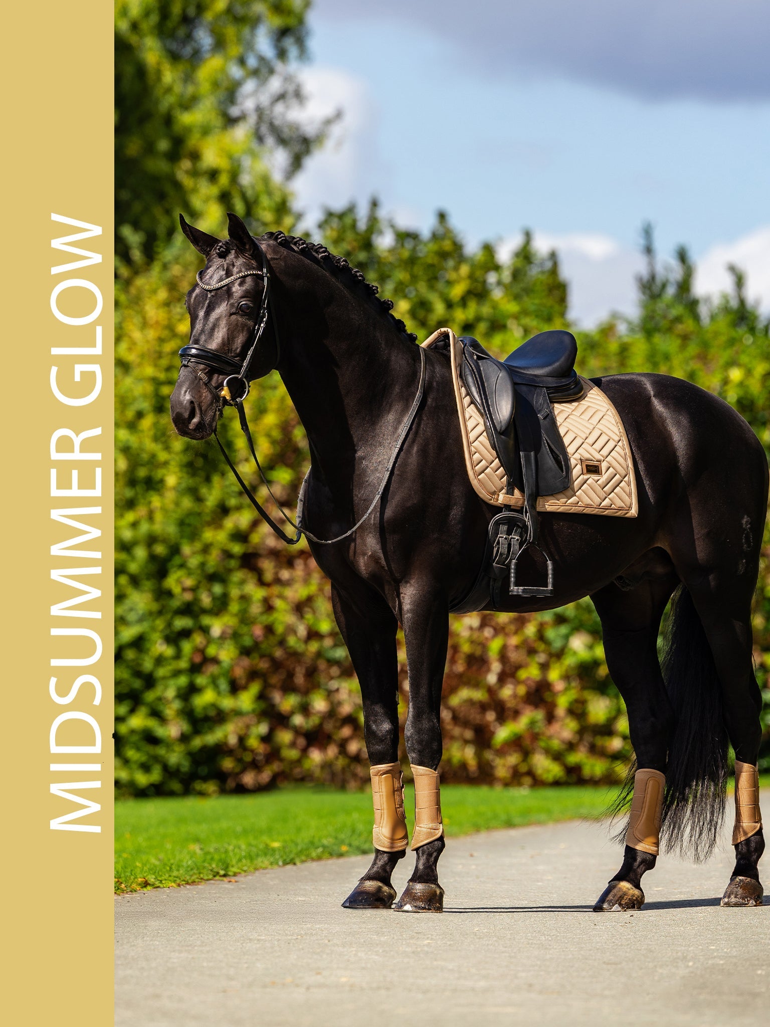 Midsummer Glow | Equestrian Stockholm