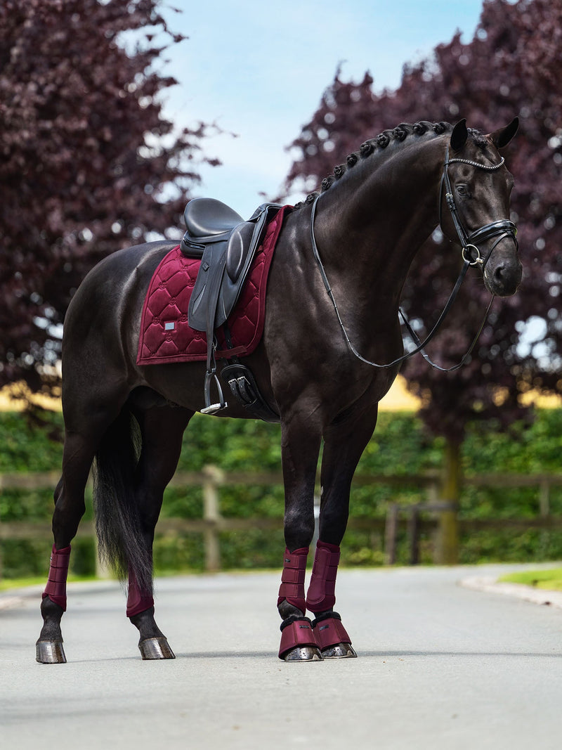 Rider wearing the Equestrian Stockholm Classic Show Jacket Merlot next to a black horse with matching red browband.