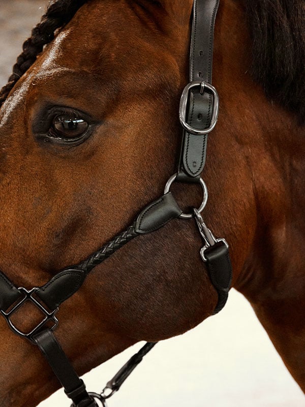 Anatomic Braided Leather Halter | Equestrian Stockholm