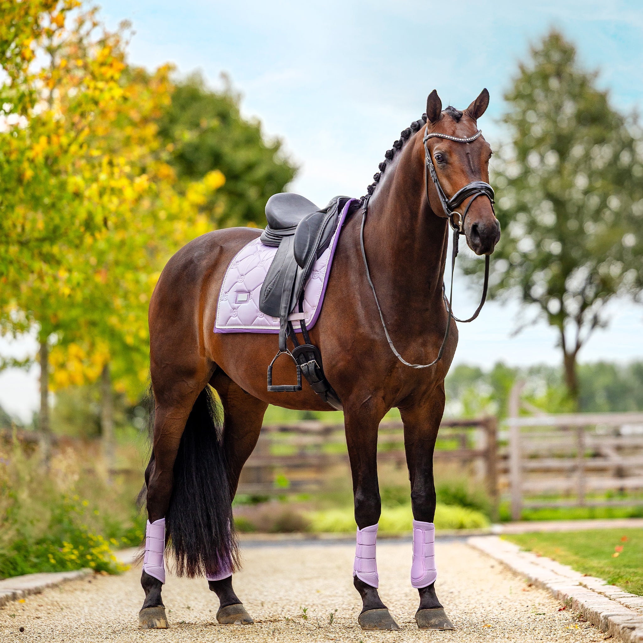 Collections | Equestrian Stockholm
