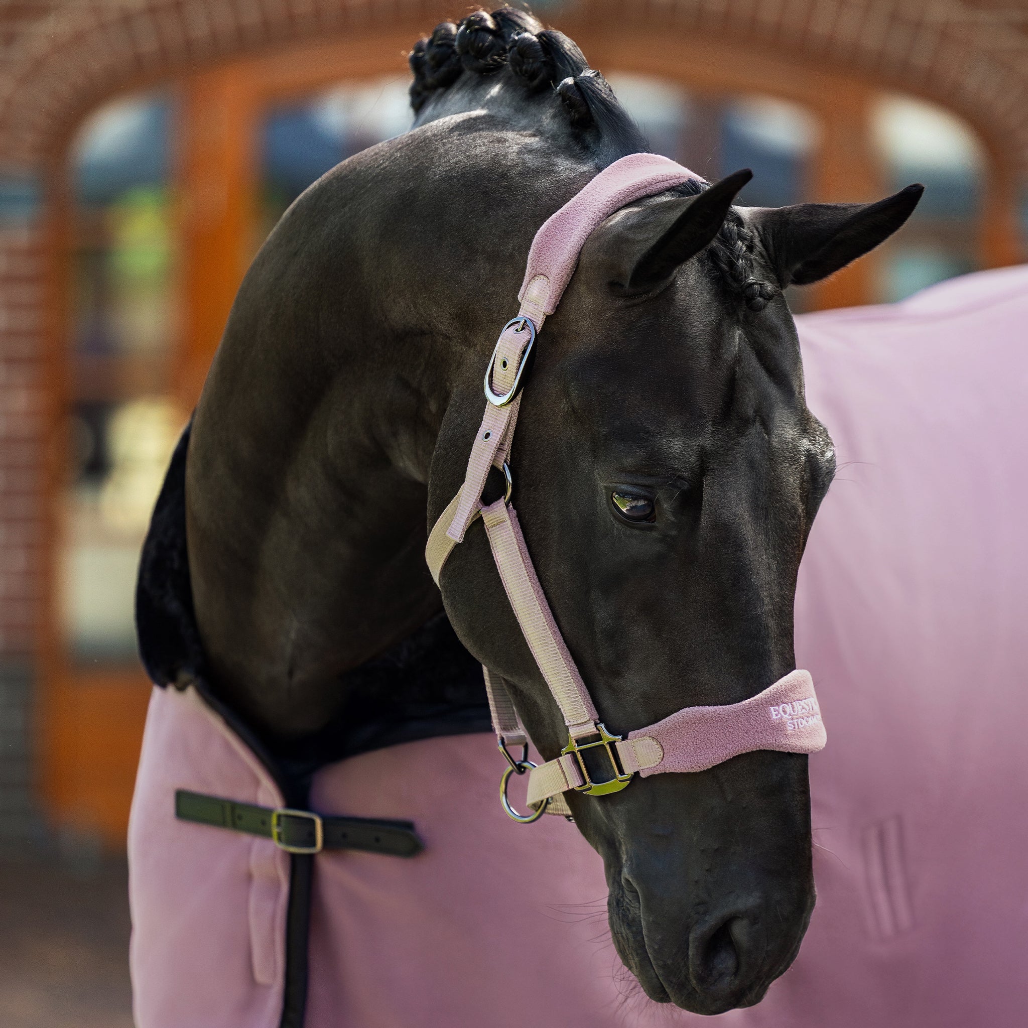 Fleece Blanket Fur Champagne | Equestrian Stockholm