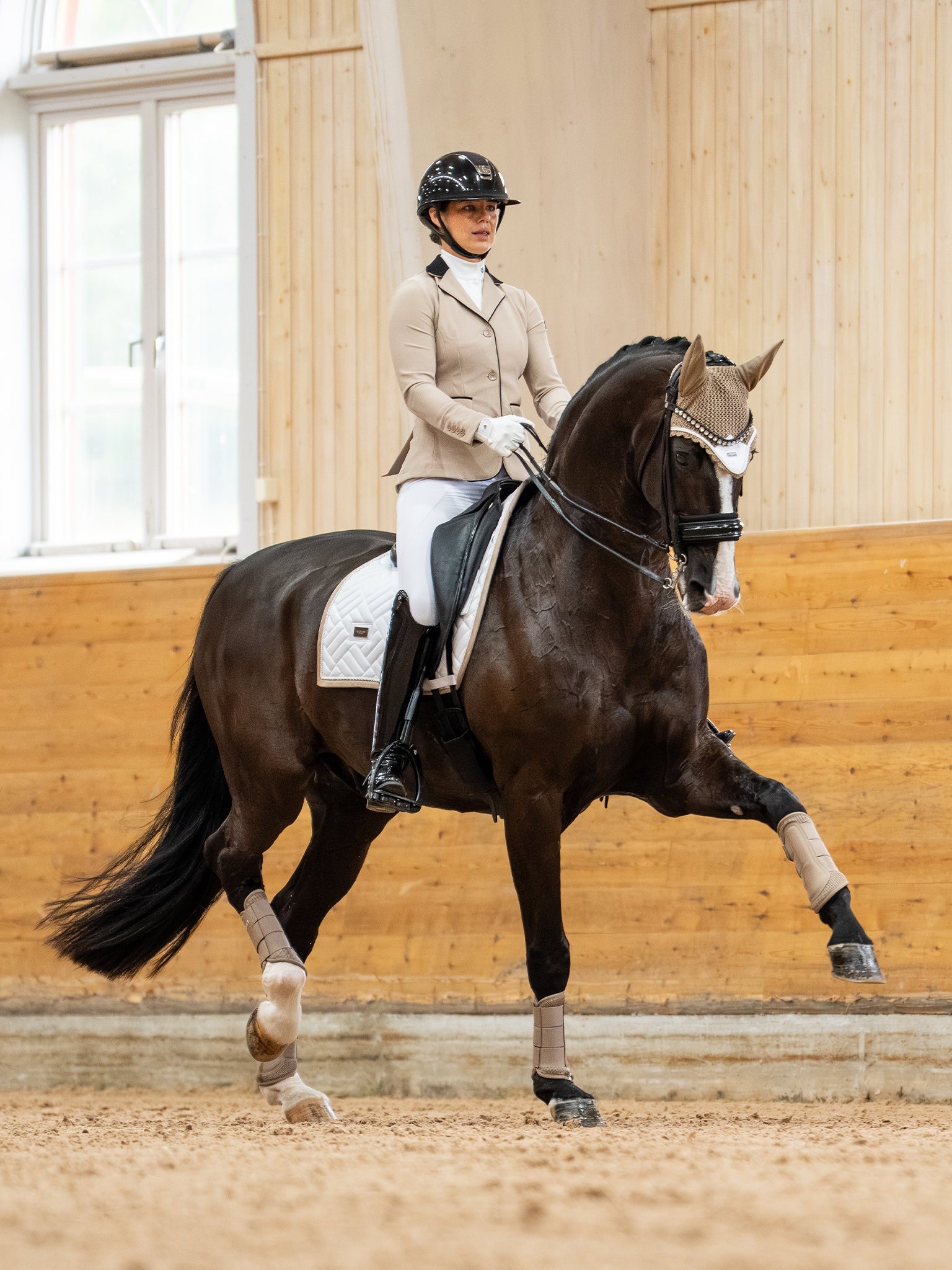 Dressage | Equestrian Stockholm