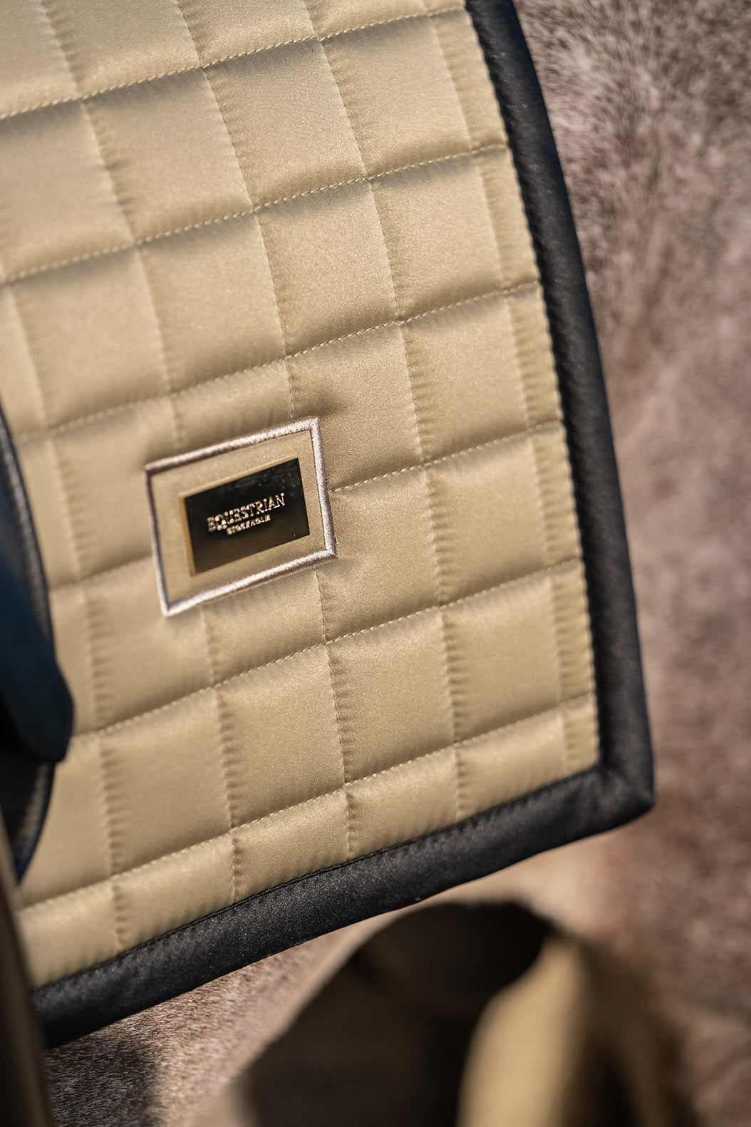 Dressur Schabracke Ruffle Latte main image 0