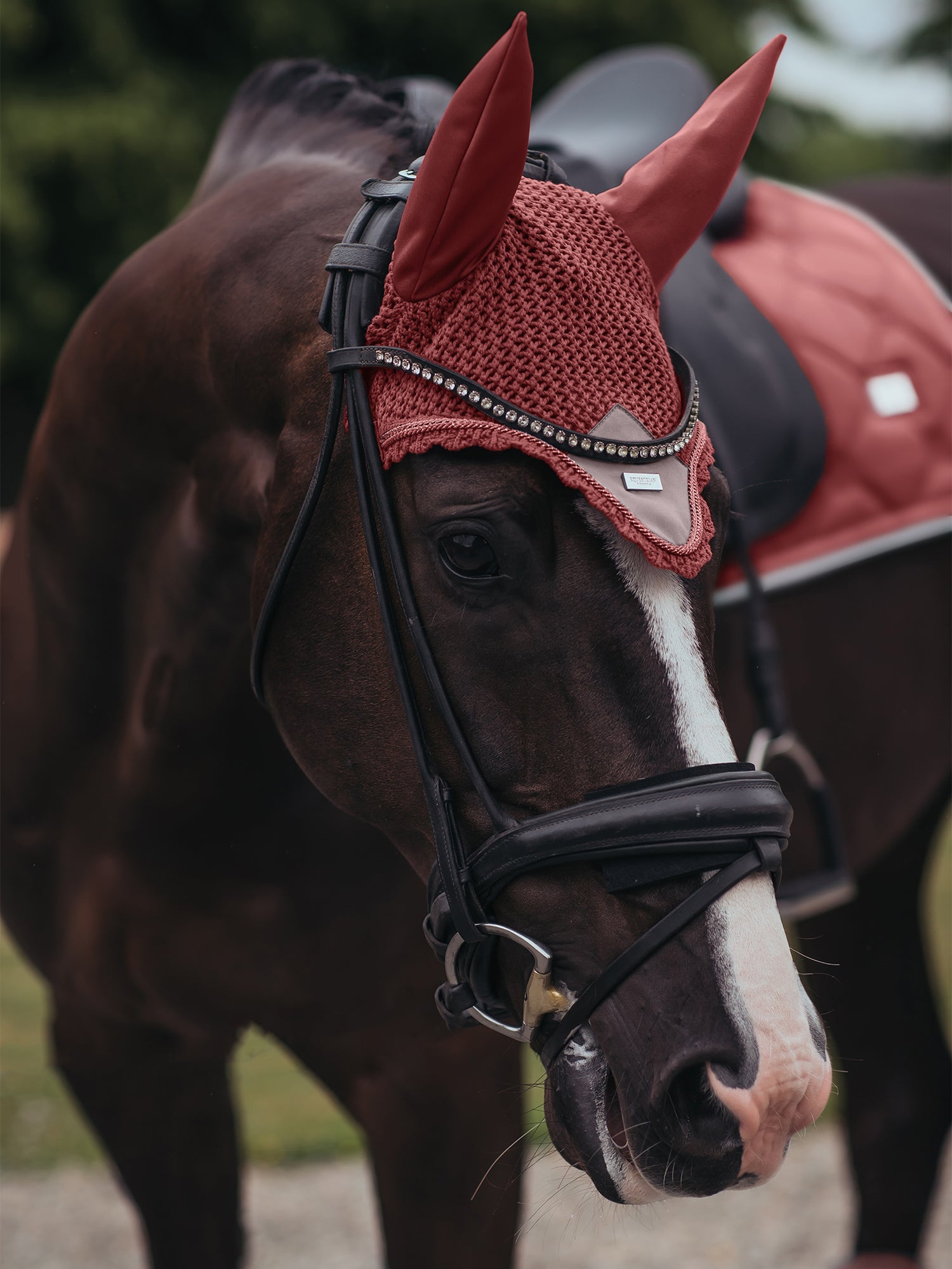 Ear Bonnet Amber Rose