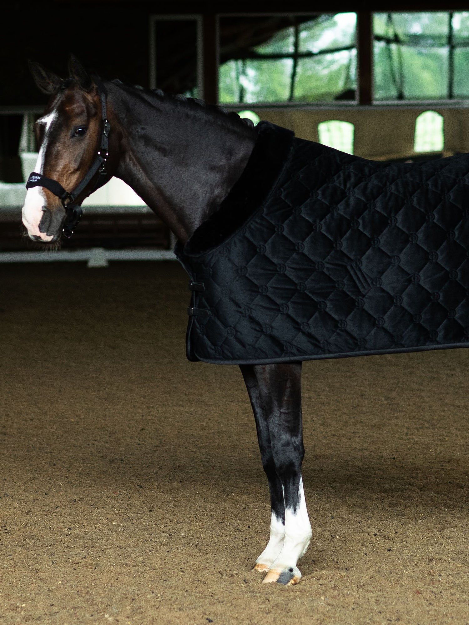 Couverture pour cheval Velvet Black
