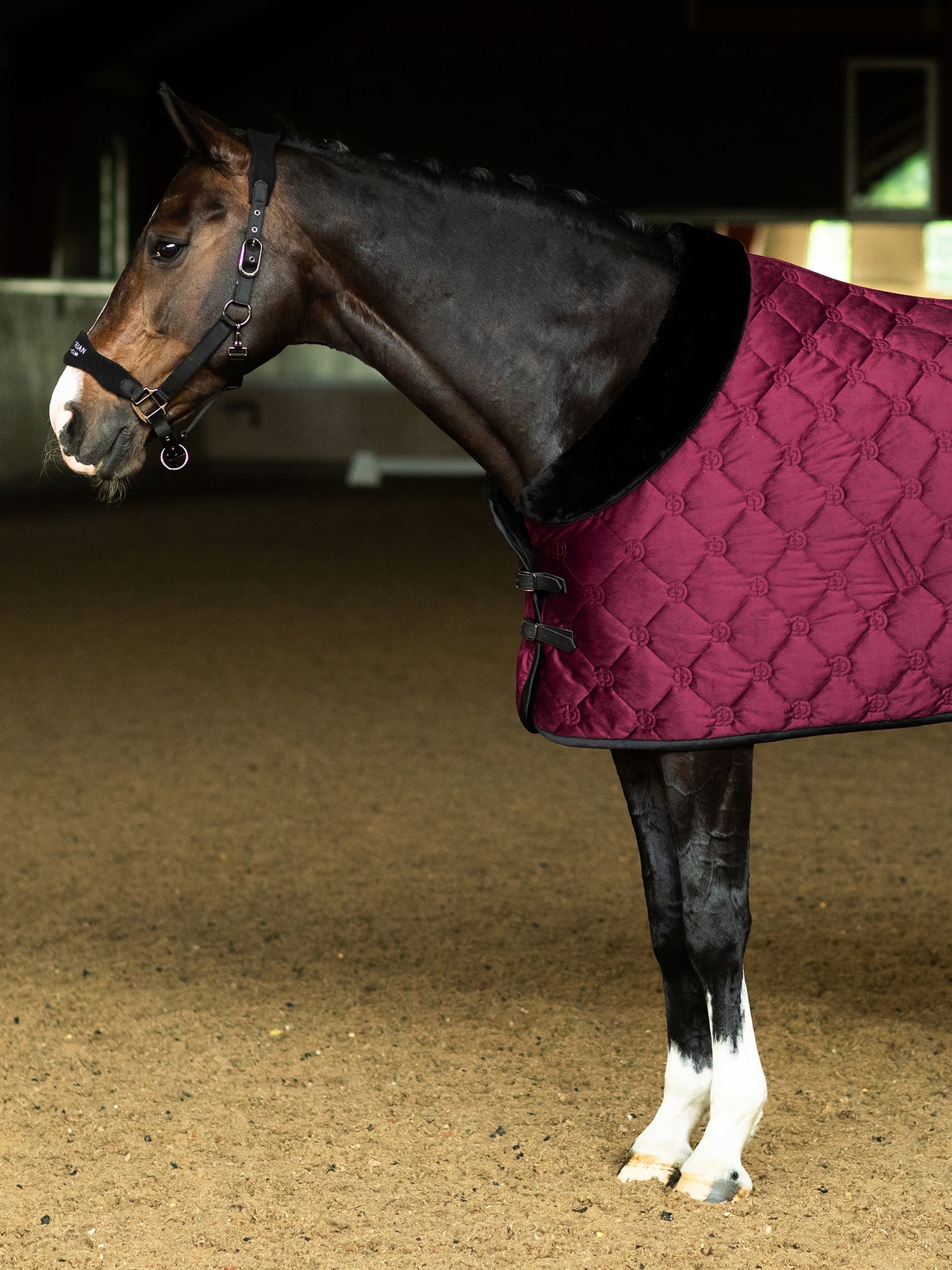 Velvet Blanket Merlot