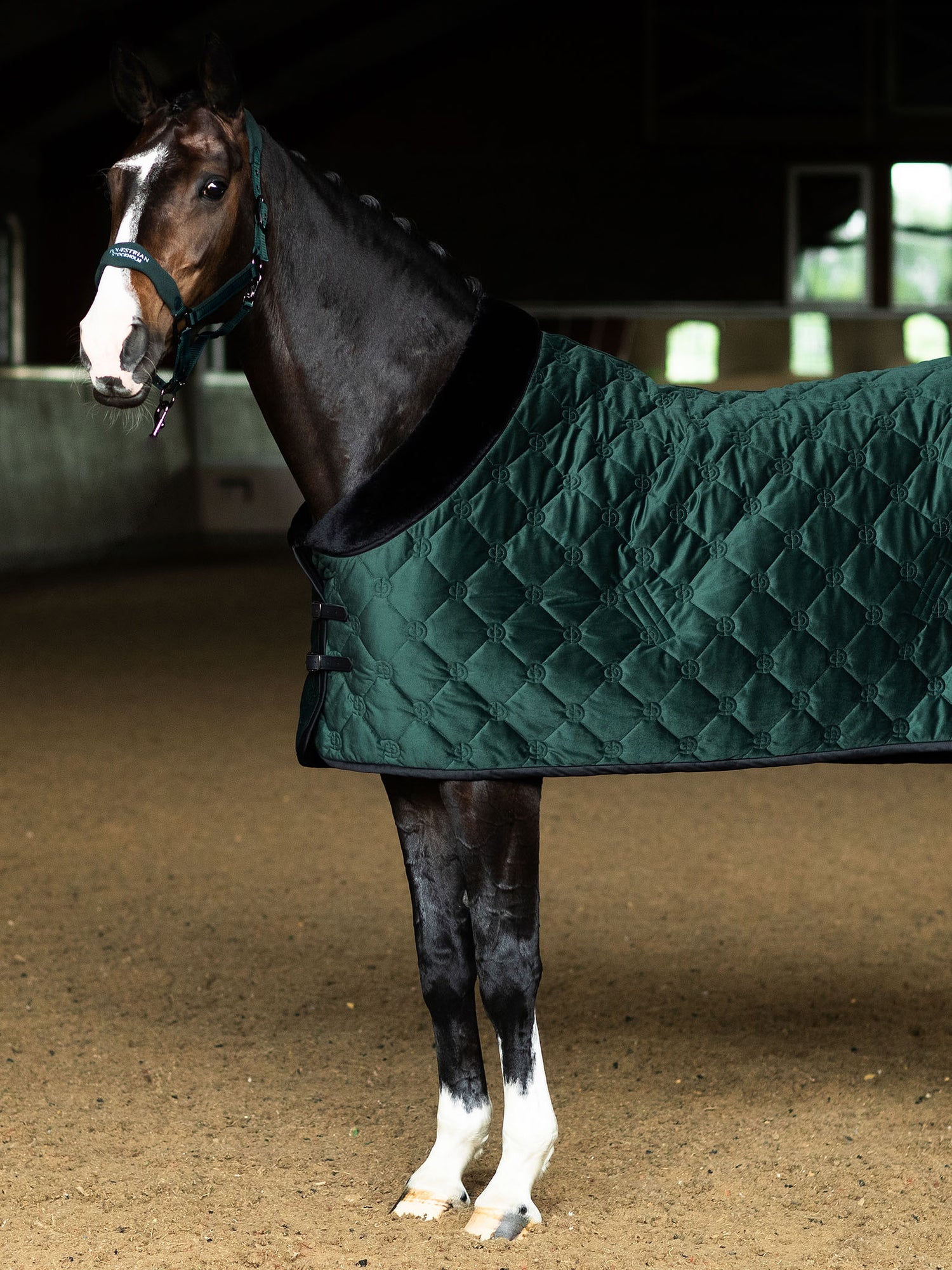 Couverture de cheval en velours Sycamore Green