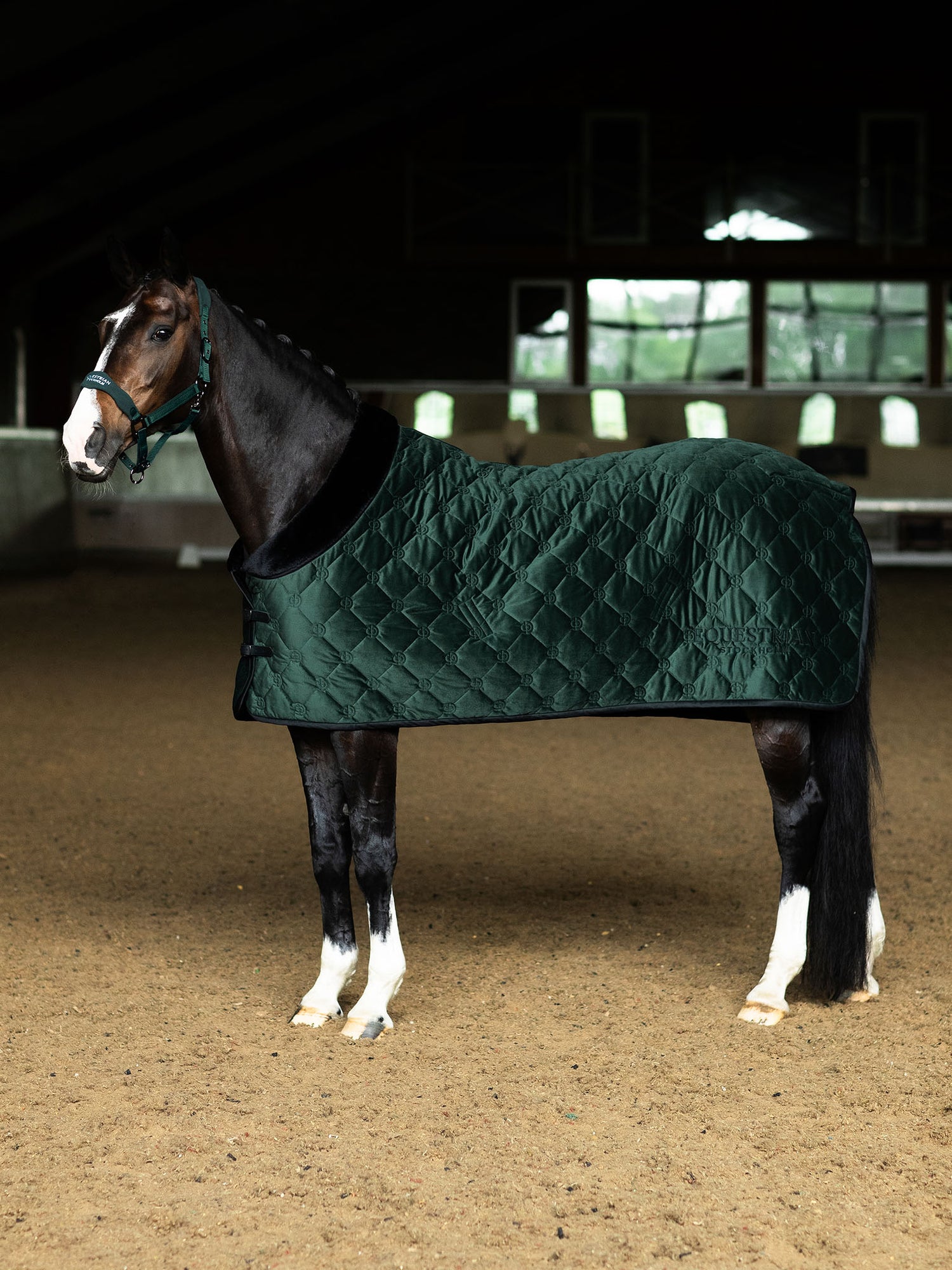 Couverture de cheval en velours Sycamore Green