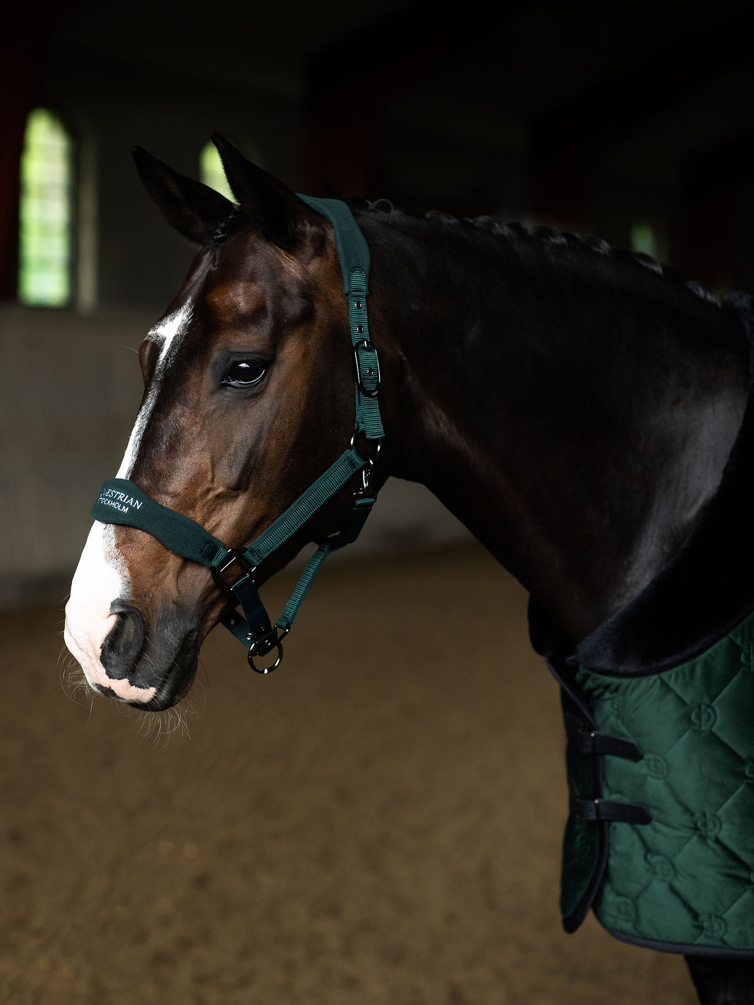 Licol anatomique en polaire Sycamore Green