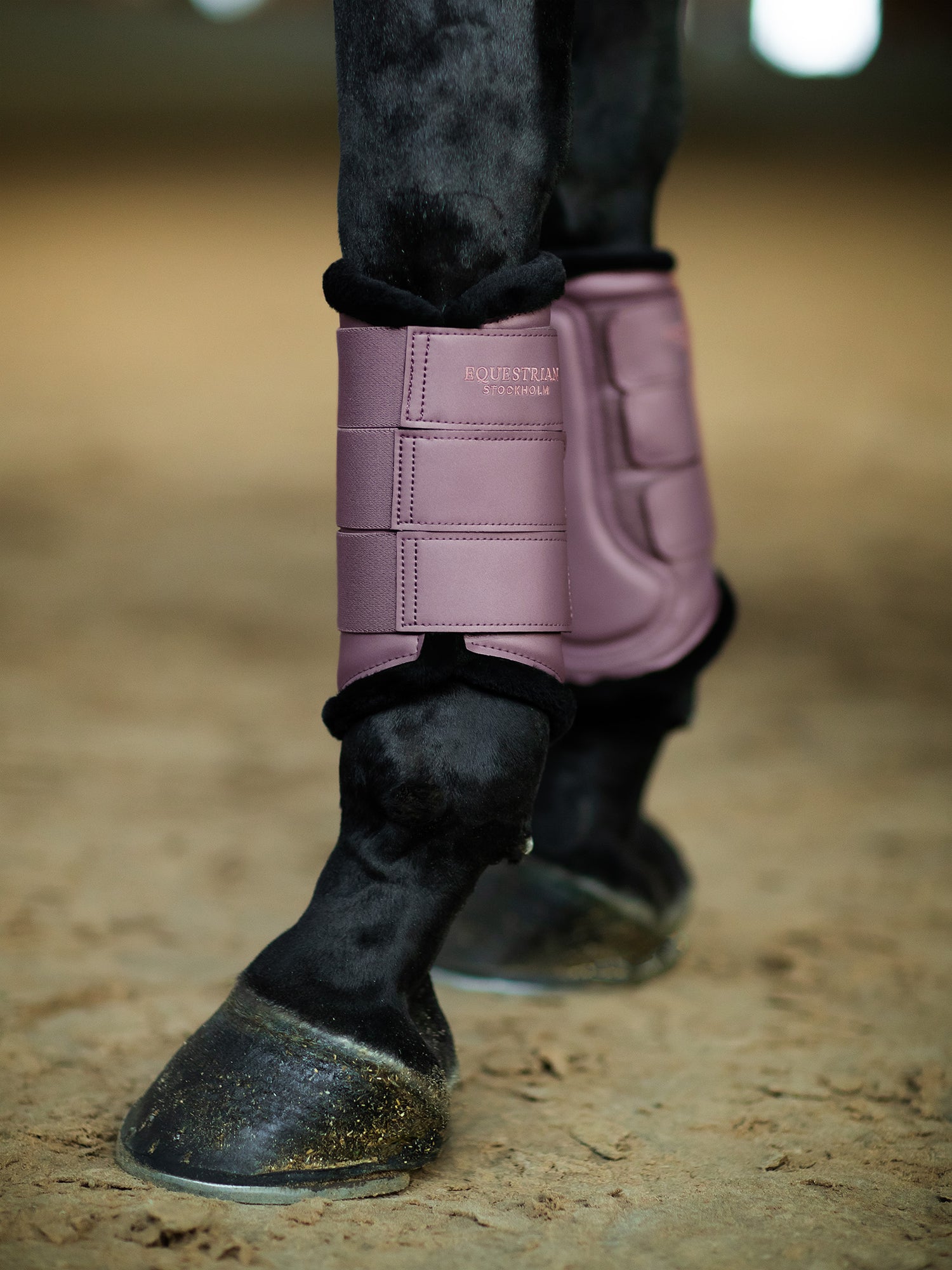 Brushing Boots Anemone